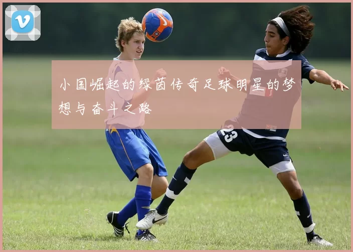 小国崛起的绿茵传奇足球明星的梦想与奋斗之路