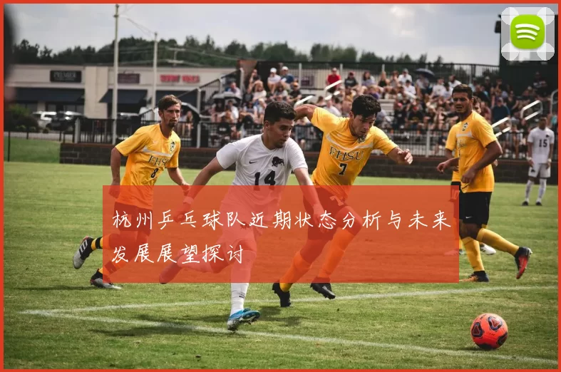 杭州乒乓球队近期状态分析与未来发展展望探讨