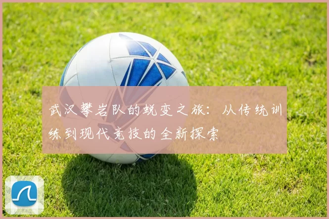 武汉攀岩队的蜕变之旅：从传统训练到现代竞技的全新探索