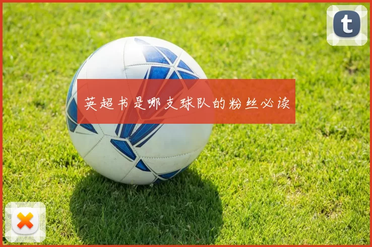英超书是哪支球队的粉丝必读