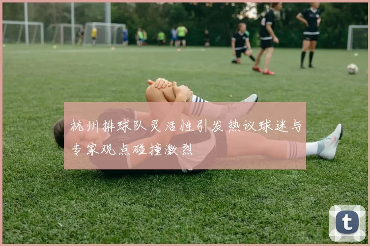 杭州排球队灵活性引发热议球迷与专家观点碰撞激烈