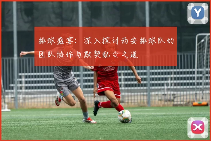 排球盛宴：深入探讨西安排球队的团队协作与默契配合之道