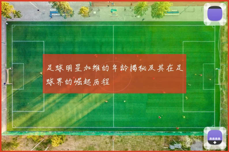 足球明星加维的年龄揭秘及其在足球界的崛起历程
