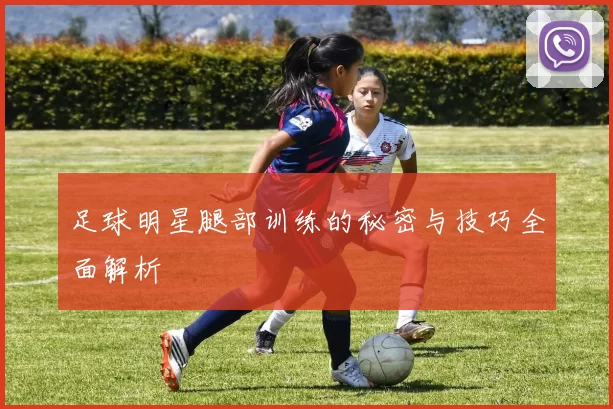 足球明星腿部训练的秘密与技巧全面解析