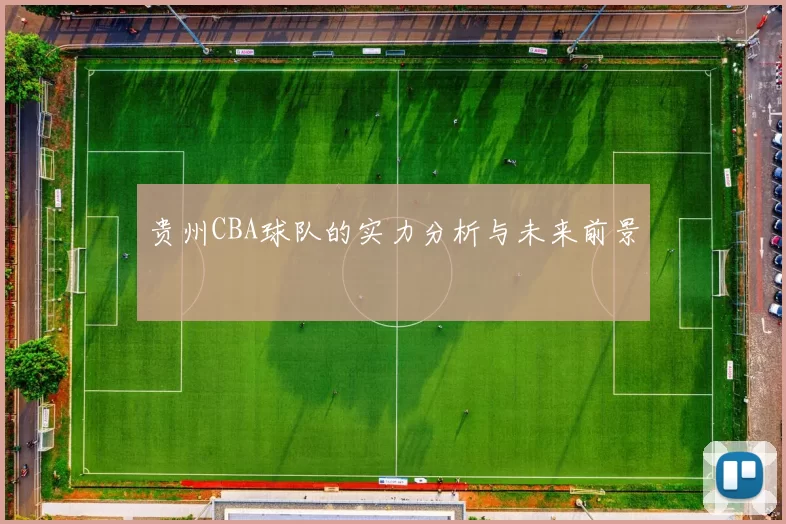 贵州CBA球队的实力分析与未来前景