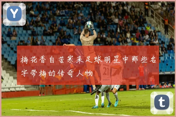 梅花香自苦寒来足球明星中那些名字带梅的传奇人物