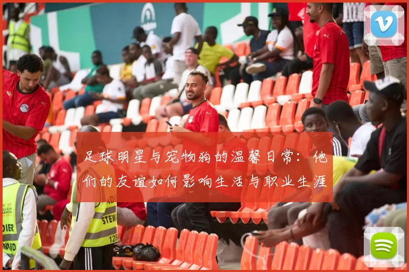 足球明星与宠物狗的温馨日常：他们的友谊如何影响生活与职业生涯