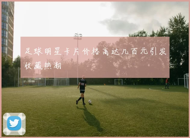 足球明星卡片价格高达几百元引发收藏热潮