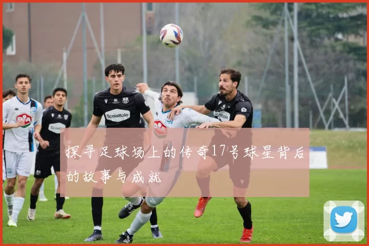 探寻足球场上的传奇17号球星背后的故事与成就