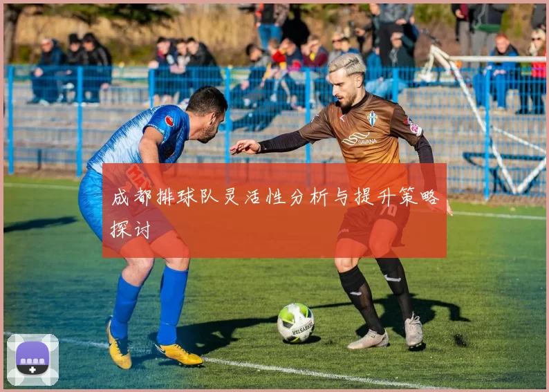 成都排球队灵活性分析与提升策略探讨