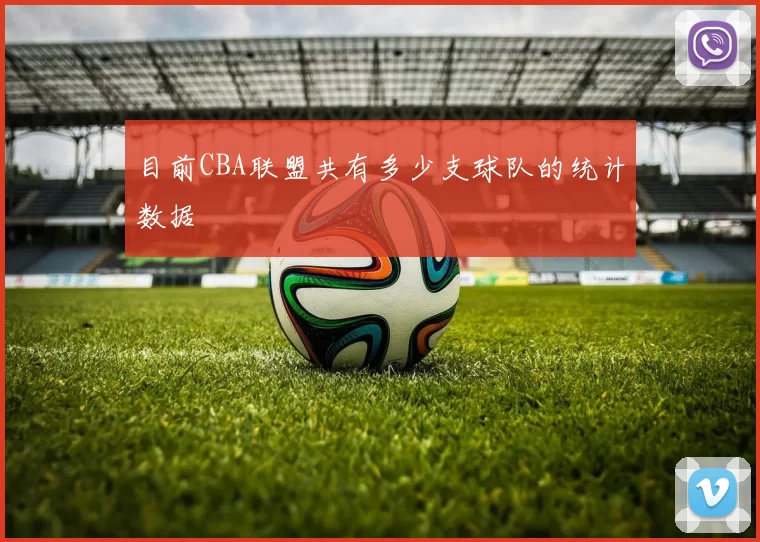 目前CBA联盟共有多少支球队的统计数据