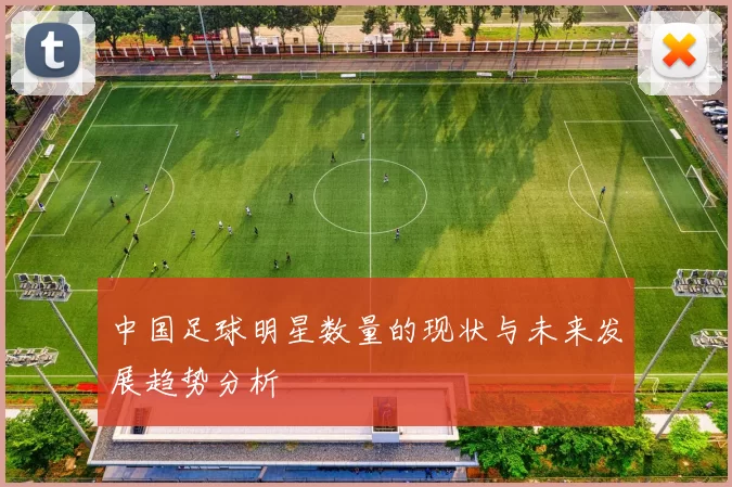 中国足球明星数量的现状与未来发展趋势分析