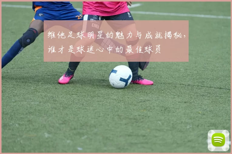 维他足球明星的魅力与成就揭秘，谁才是球迷心中的最佳球员