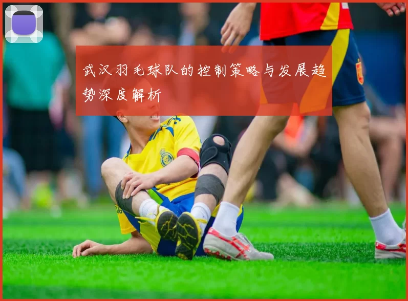武汉羽毛球队的控制策略与发展趋势深度解析